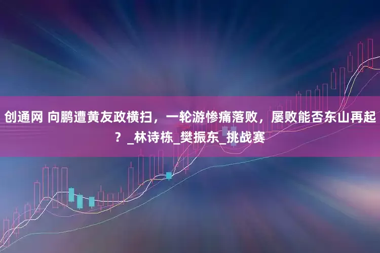 创通网 向鹏遭黄友政横扫，一轮游惨痛落败，屡败能否东山再起？_林诗栋_樊振东_挑战赛