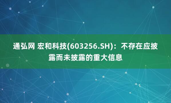 通弘网 宏和科技(603256.SH)：不存在应披露而未披露的重大信息