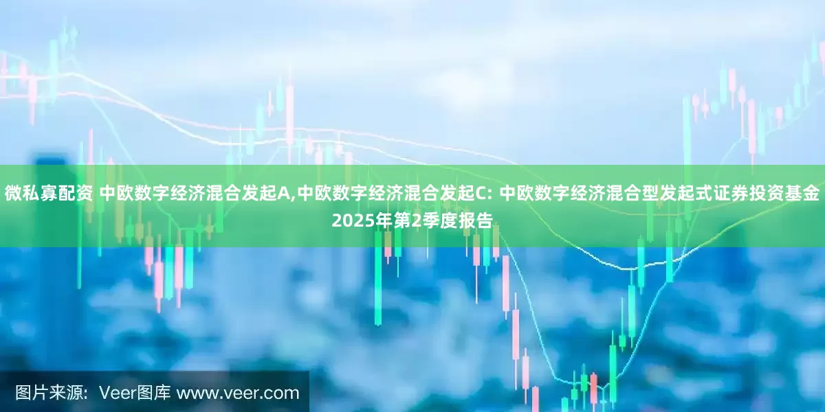 微私寡配资 中欧数字经济混合发起A,中欧数字经济混合发起C: 中欧数字经济混合型发起式证券投资基金2025年第2季度报告
