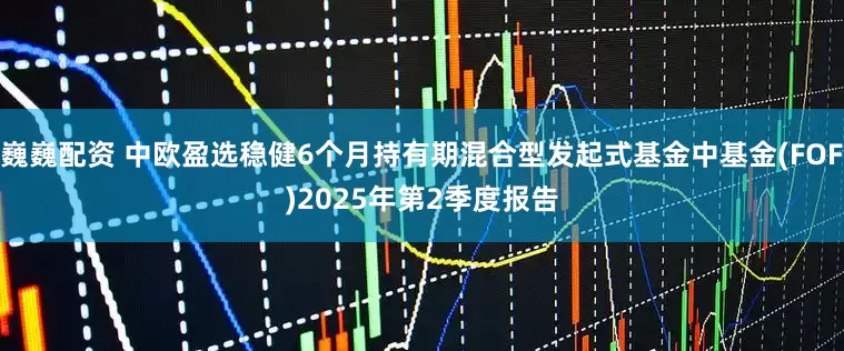 巍巍配资 中欧盈选稳健6个月持有期混合型发起式基金中基金(FOF)2025年第2季度报告