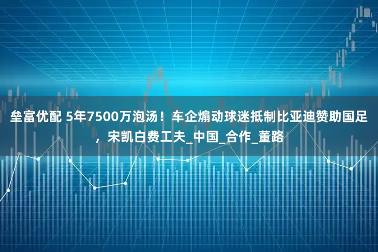 垒富优配 5年7500万泡汤！车企煽动球迷抵制比亚迪赞助国足，宋凯白费工夫_中国_合作_董路