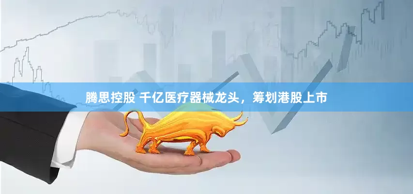 腾思控股 千亿医疗器械龙头，筹划港股上市